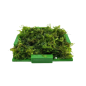 Preview: moss box